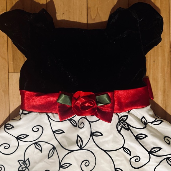 Beautiful Youngland Youth Girls Dress Size 4, holiday family photos, Valentines - Picture 2 of 7